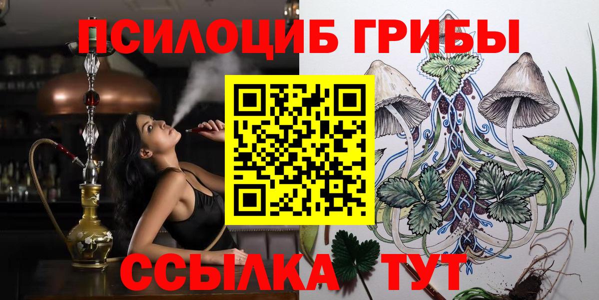 Псилоцибиновые грибы Psilocybe  Вход с VPN  Кувандык 